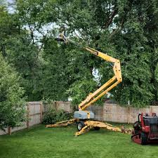 Best Commercial Tree Services  in Redmond, OR