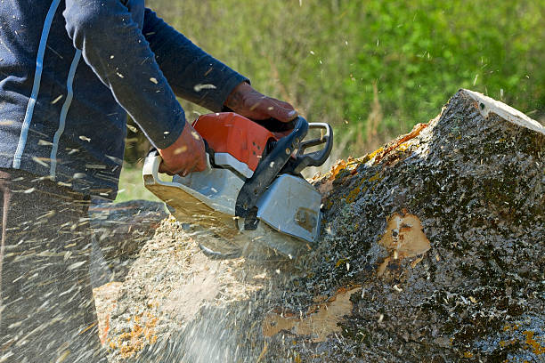 Best Tree and Shrub Care  in Redmond, OR